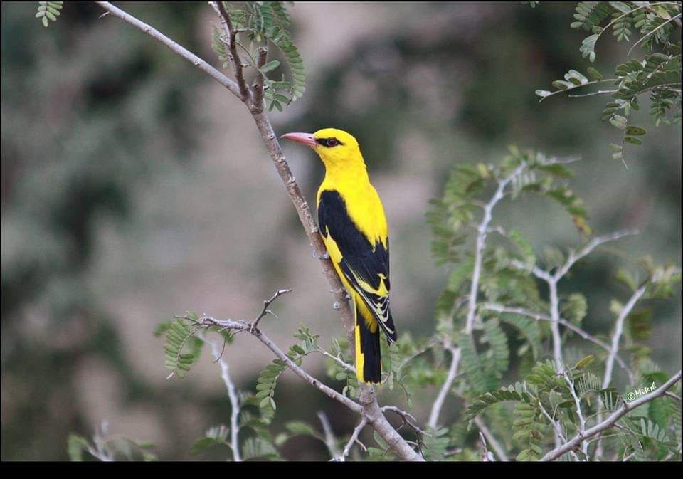 आपण यांना पाहिलंय का? - भाग १७