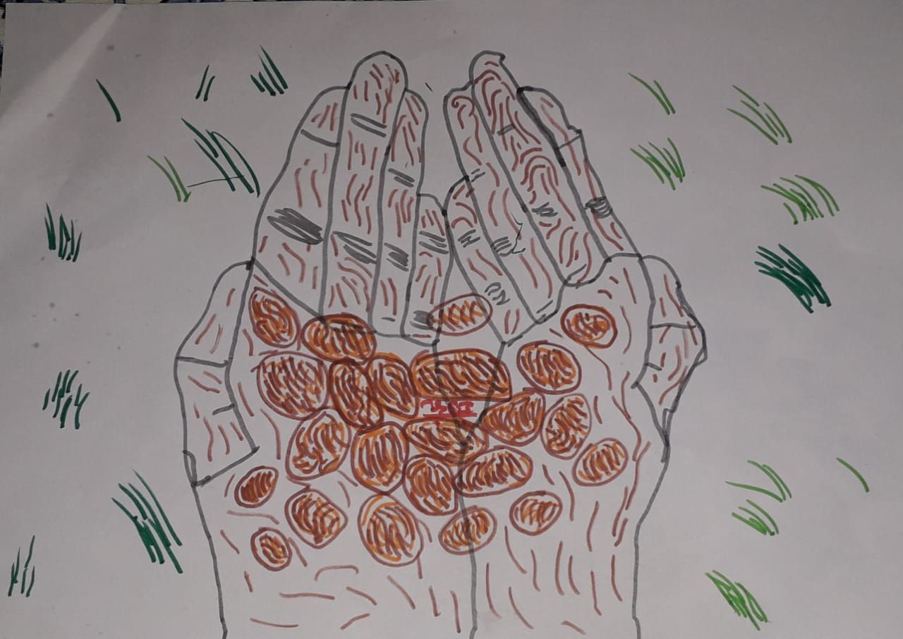 टेकडीच्या निमित्ताने ३: ५० बिया