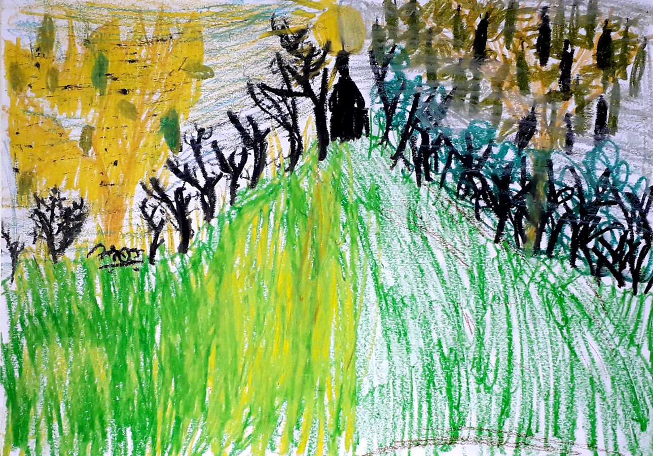 टेकडीच्या निमित्ताने ११: बहावा आणि चिंच