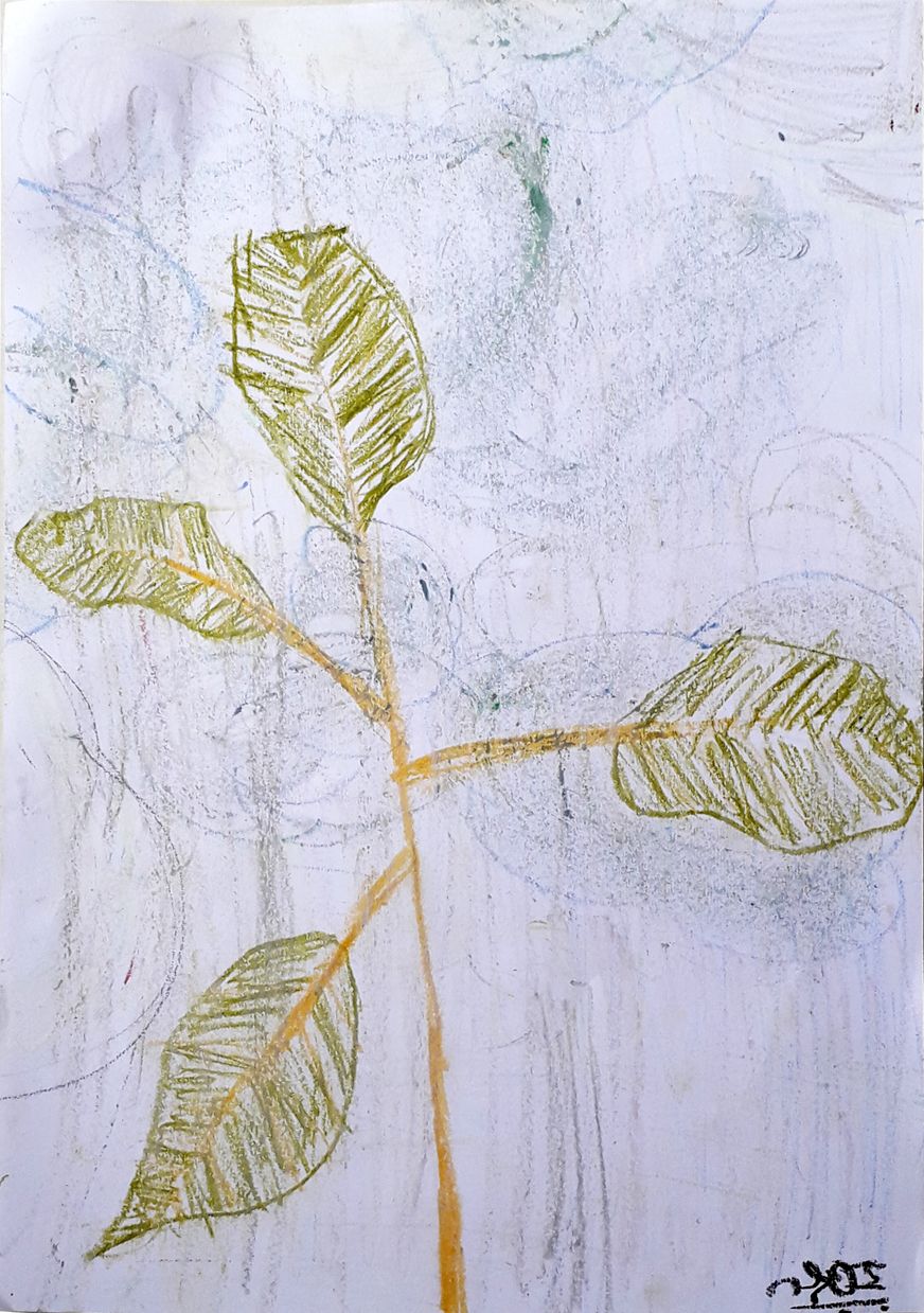 टेकडीच्या निमित्ताने १३: झाडं