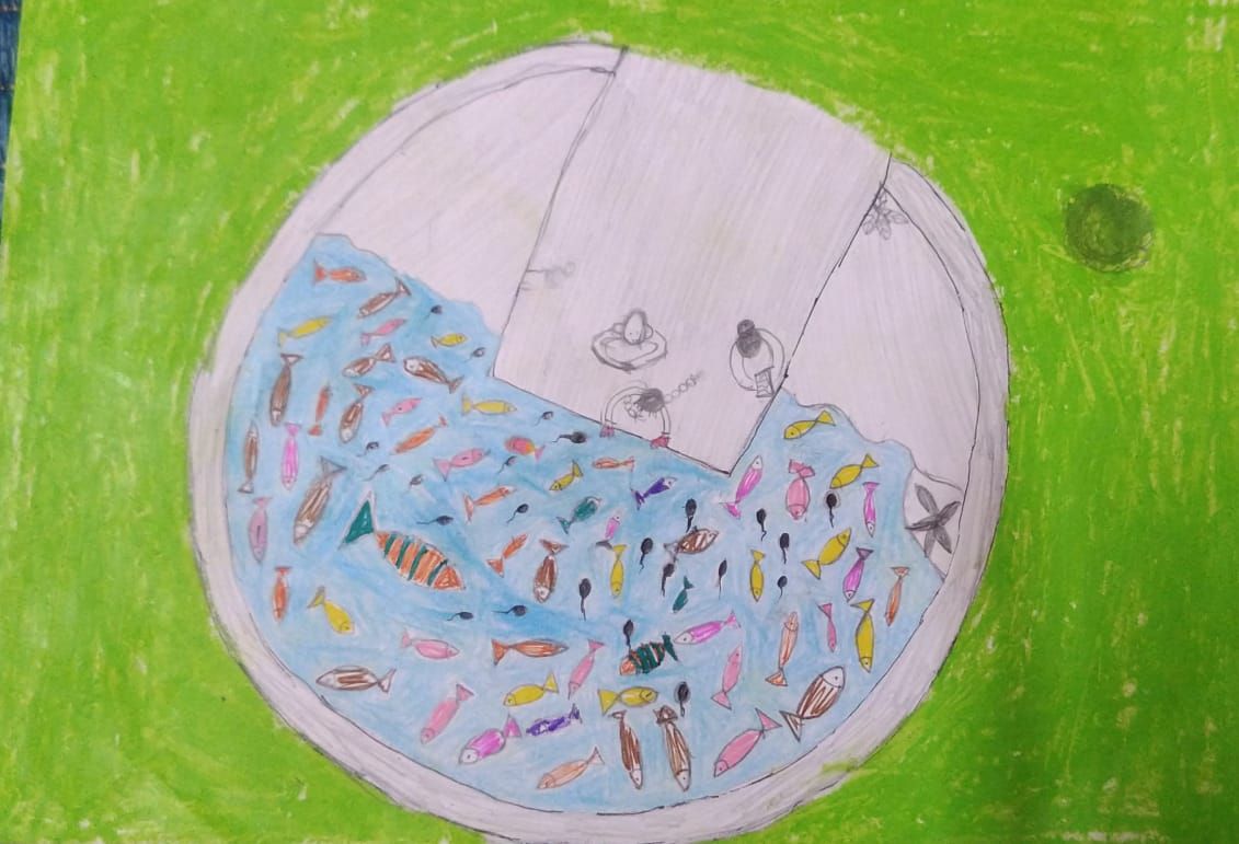 तळं आणि मासे (अनुभव)