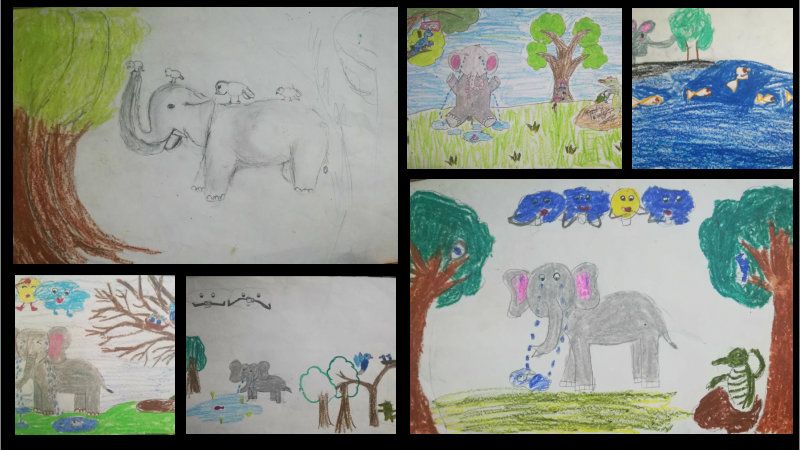 हत्ती आणि मासोळी (कथा)