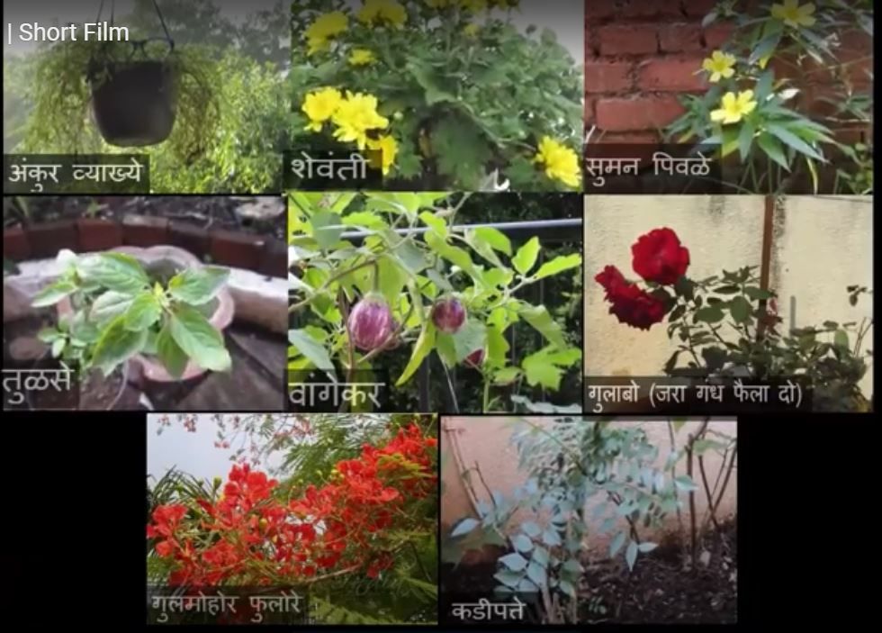 शुष्की (लघुपट)