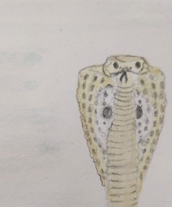 सोयरा (गोष्ट)