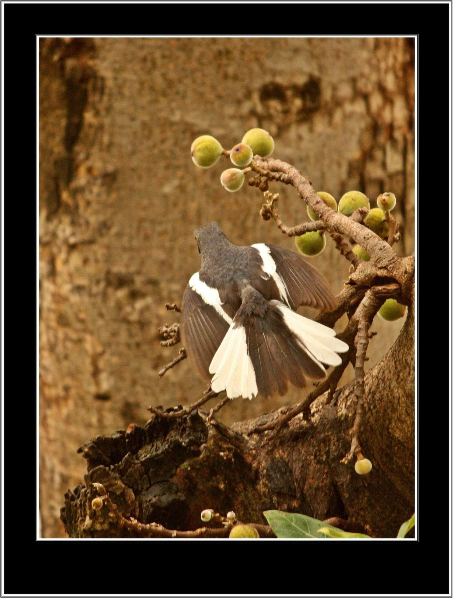 आपण यांना पाहिलंय का? - भाग ५