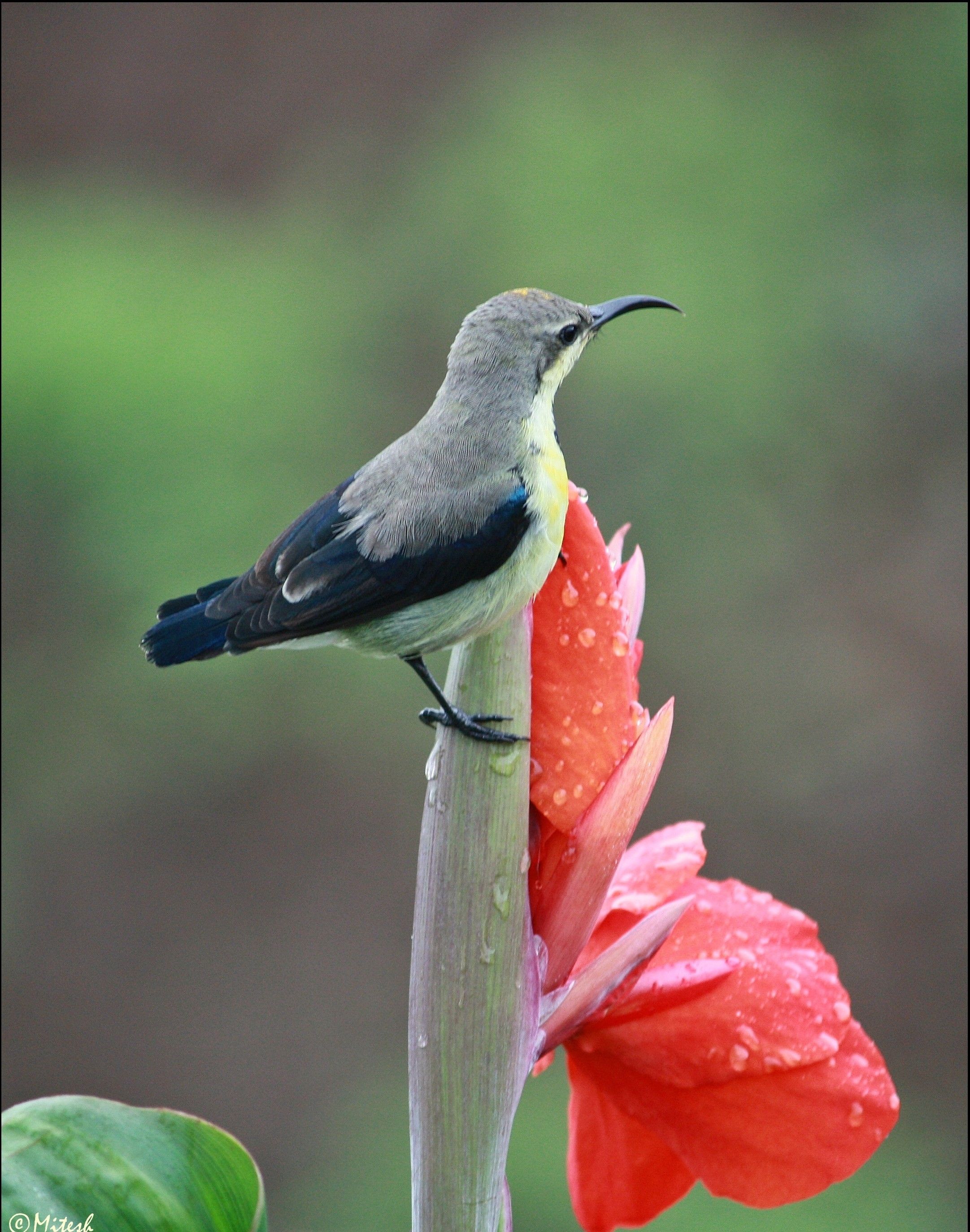 आपण यांना पाहिलंय का? - भाग ७