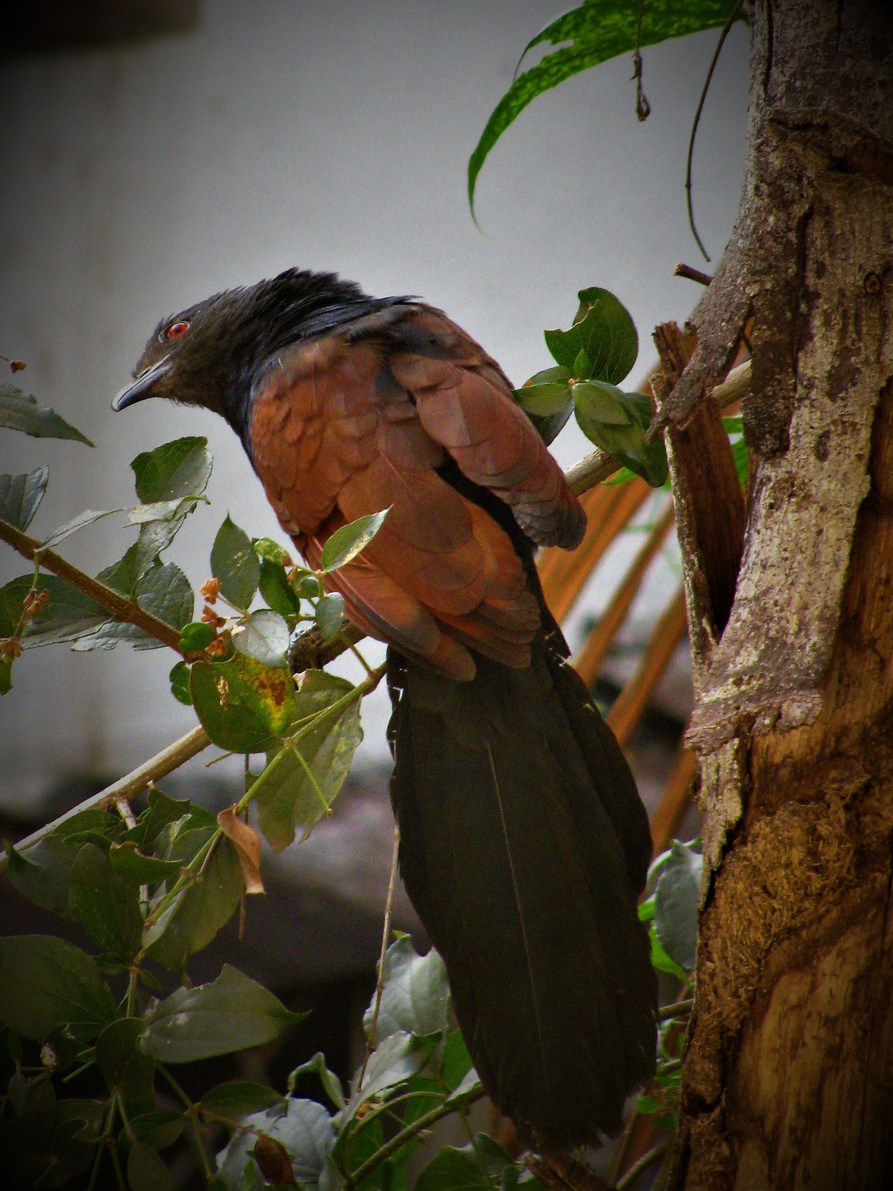 आपण यांना पाहिलंय का? - भाग ८