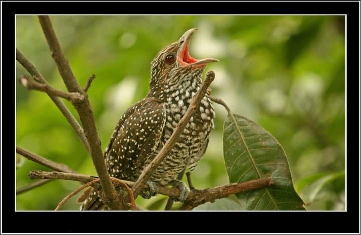 आपण यांना पाहिलंय का? - भाग ९