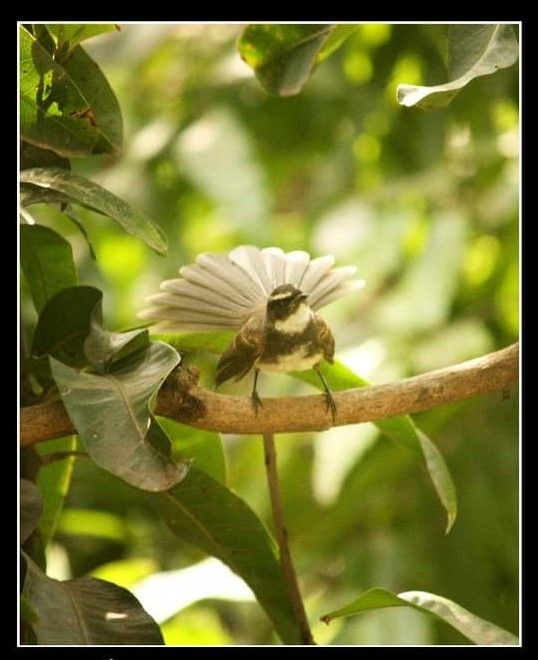 आपण यांना पाहिलंय का? - भाग १२