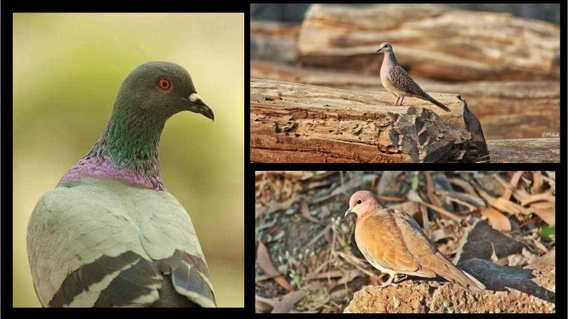 आपण यांना पाहिलंय का? - भाग १४