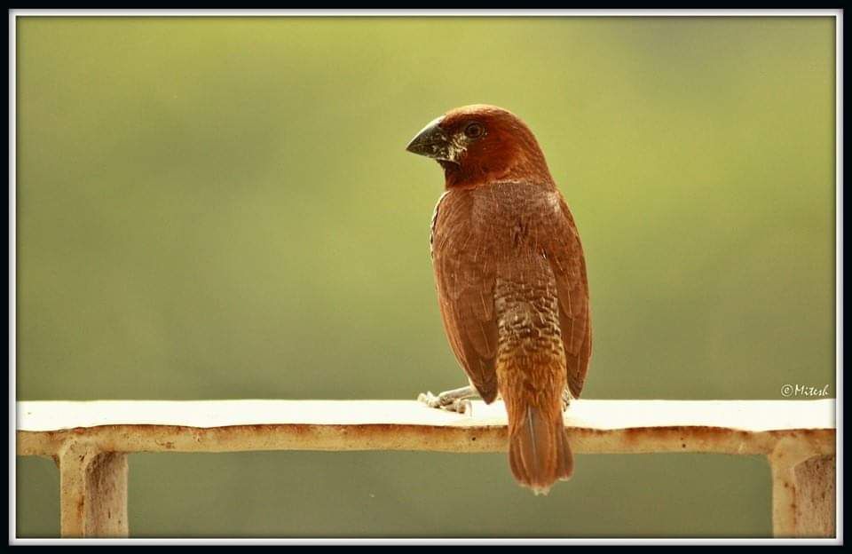 आपण यांना पाहिलंय का? - भाग १६