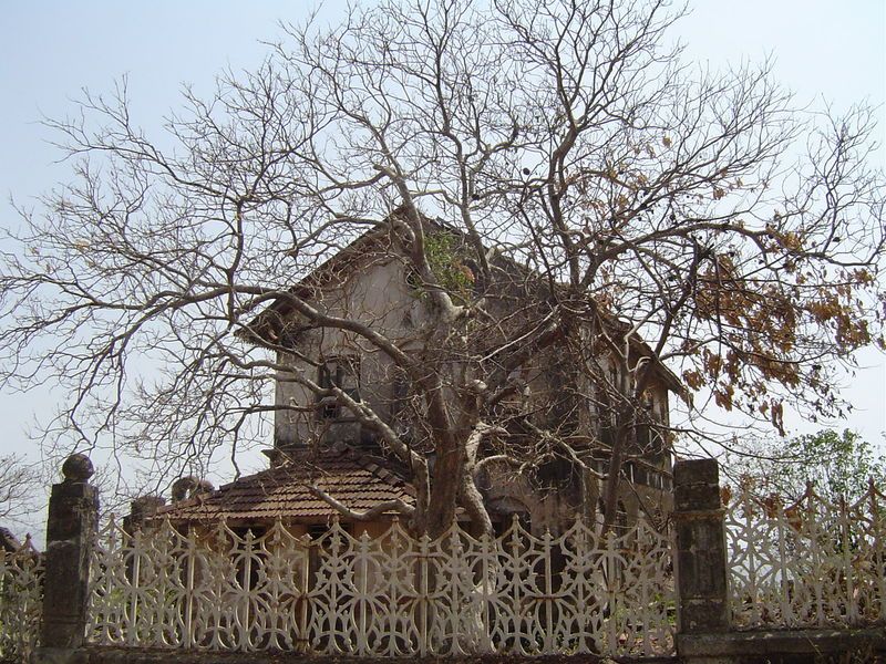 दे धडक बेधडक - (कथा)